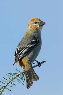 BUITEN BEELD Foto: 45983