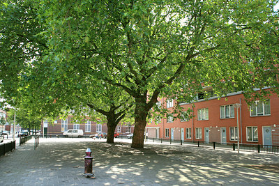 BUITEN BEELD Foto: 45991