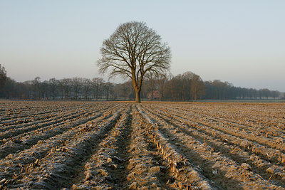 BUITEN BEELD Foto: 46004