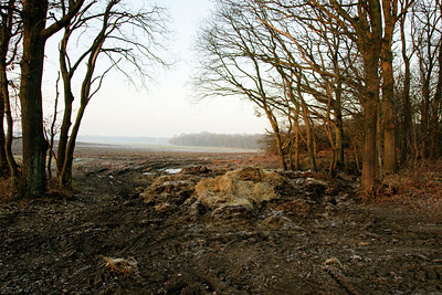 BUITEN BEELD Foto: 46007