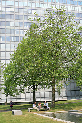 BUITEN BEELD Foto: 46012