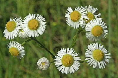 BUITEN BEELD Foto: 46030