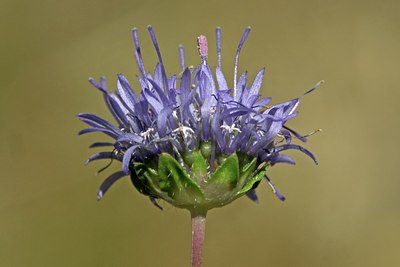 BUITEN BEELD Foto: 46038