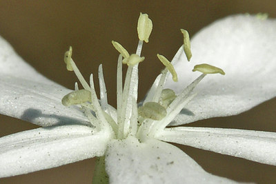 BUITEN BEELD Foto: 46054