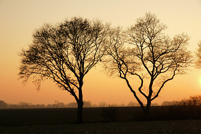 BUITEN BEELD Foto: 46057