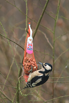 BUITEN BEELD Foto: 46067