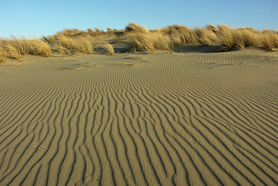 BUITEN BEELD Foto: 46191