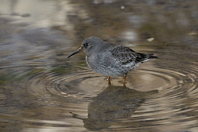 BUITEN BEELD Foto: 46235