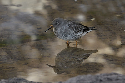 BUITEN BEELD Foto: 46236