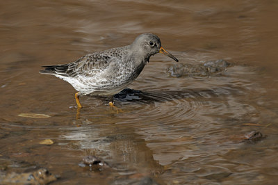 BUITEN BEELD Foto: 46237