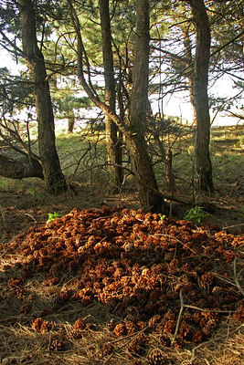 BUITEN BEELD Foto: 46245