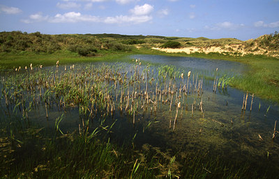 BUITEN BEELD Foto: 46262