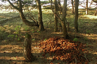 BUITEN BEELD Foto: 46270