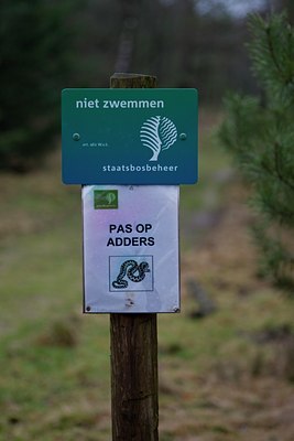BUITEN BEELD Foto: 46305