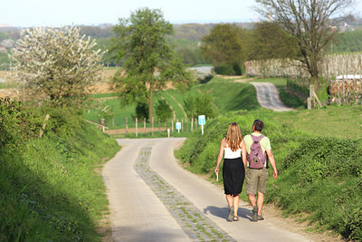 BUITEN BEELD Foto: 46322