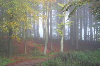 BUITEN BEELD Foto: 46324