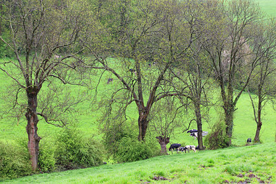 BUITEN BEELD Foto: 46327