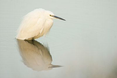 BUITEN BEELD Foto: 46335