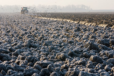 BUITEN BEELD Foto: 46340