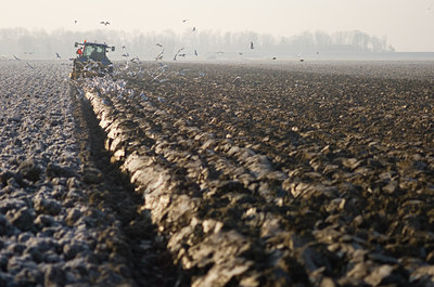 BUITEN BEELD Foto: 46341