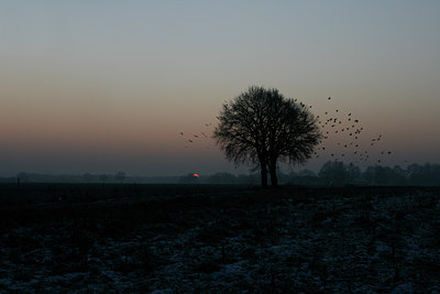 BUITEN BEELD Foto: 46387