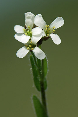 BUITEN BEELD Foto: 46394