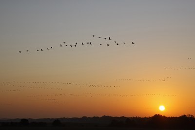 BUITEN BEELD Foto: 46395