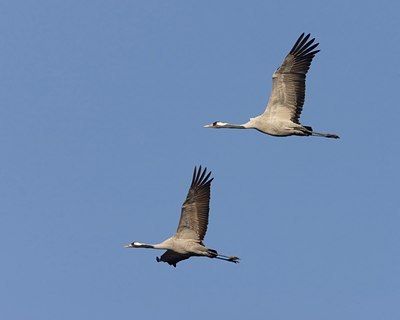 BUITEN BEELD Foto: 46399