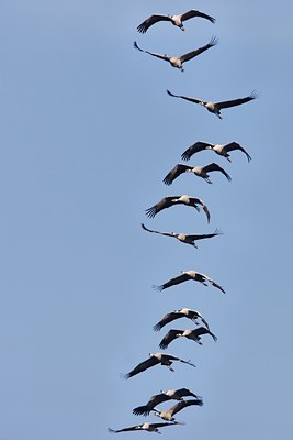 BUITEN BEELD Foto: 46401