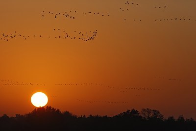 BUITEN BEELD Foto: 46403