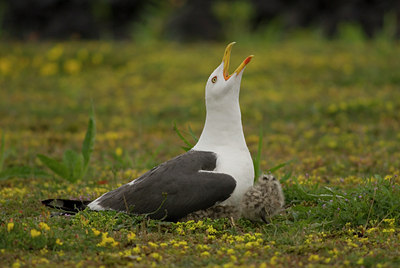 BUITEN BEELD Foto: 46470