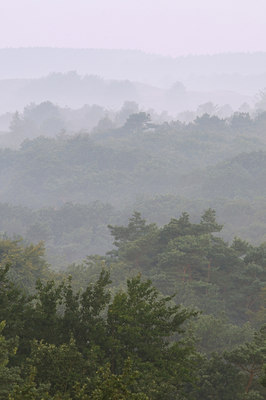 BUITEN BEELD Foto: 46504
