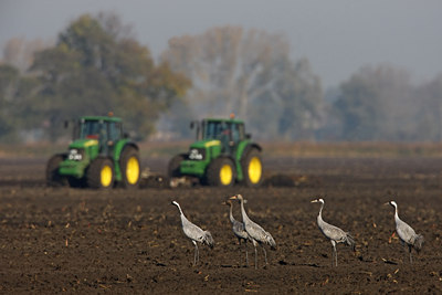 BUITEN BEELD Foto: 46528