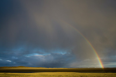 BUITEN BEELD Foto: 46561