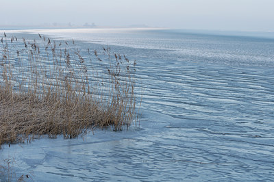 BUITEN BEELD Foto: 46575