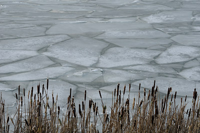 BUITEN BEELD Foto: 46576