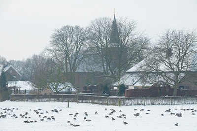 BUITEN BEELD Foto: 46591