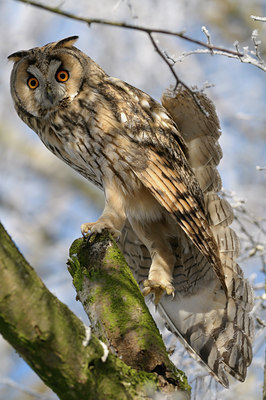 BUITEN BEELD Foto: 46648