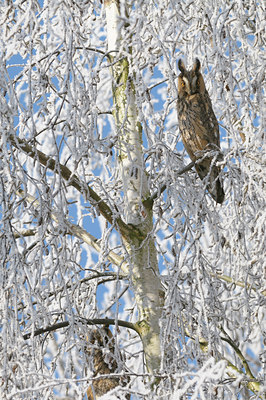 BUITEN BEELD Foto: 46653
