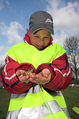 BUITEN BEELD Foto: 46689