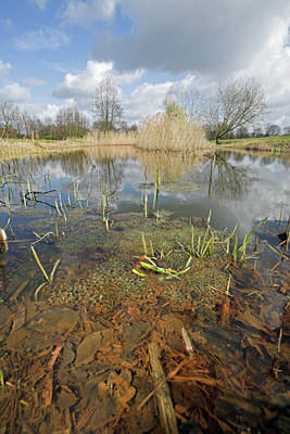 BUITEN BEELD Foto: 46699