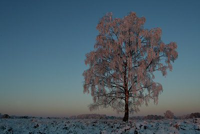 BUITEN BEELD Foto: 46702