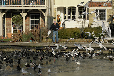BUITEN BEELD Foto: 46743