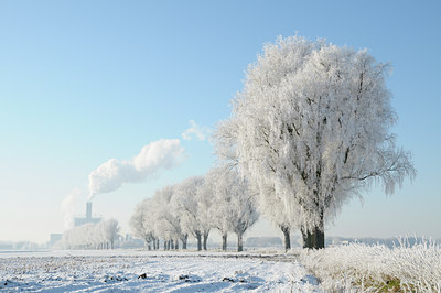 BUITEN BEELD Foto: 46750
