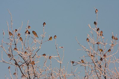 BUITEN BEELD Foto: 46758