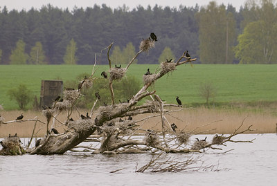 BUITEN BEELD Foto: 46794