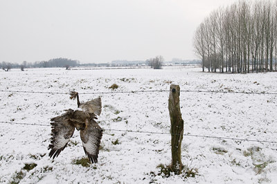 BUITEN BEELD Foto: 46807