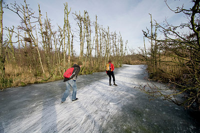 BUITEN BEELD Foto: 46808