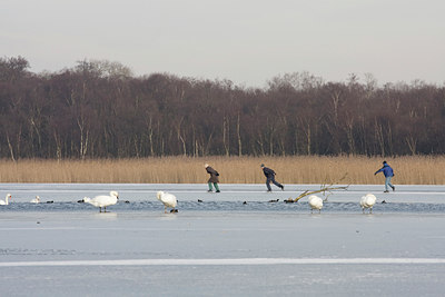 BUITEN BEELD Foto: 46824