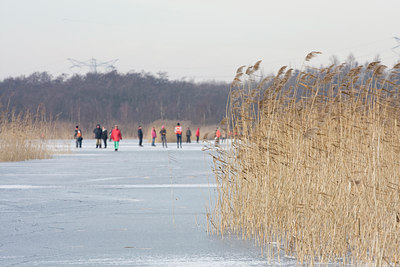 BUITEN BEELD Foto: 46835